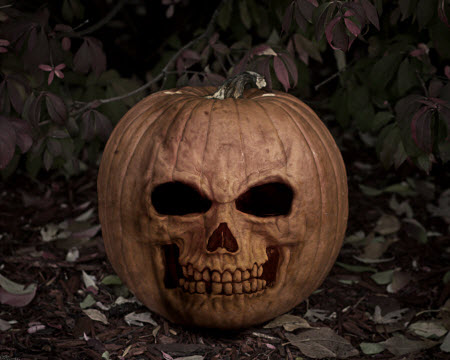 SHW-Pumpkin-Skull